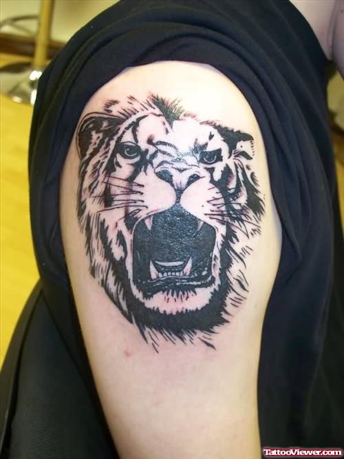 Angry Face  - Lion Tattoo