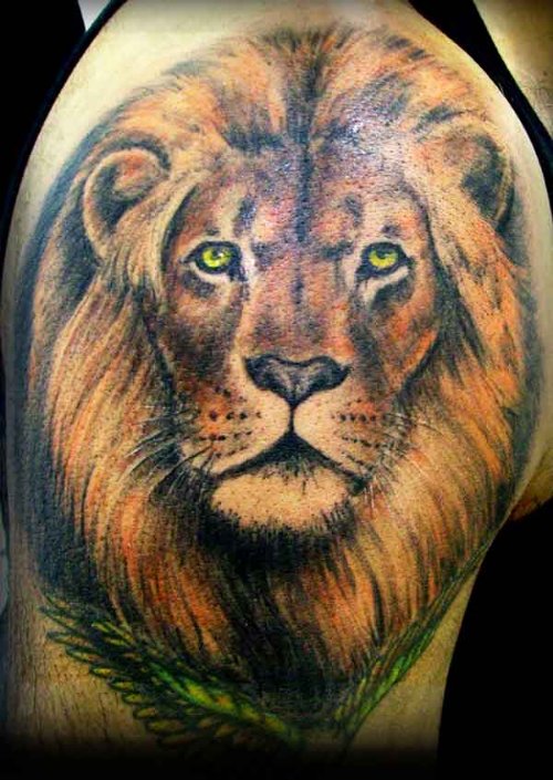 New Right Shoulder Lion Tattoo