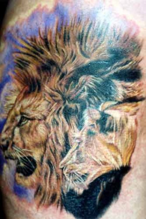 Awesome Color Ink Lion Head Tattoo