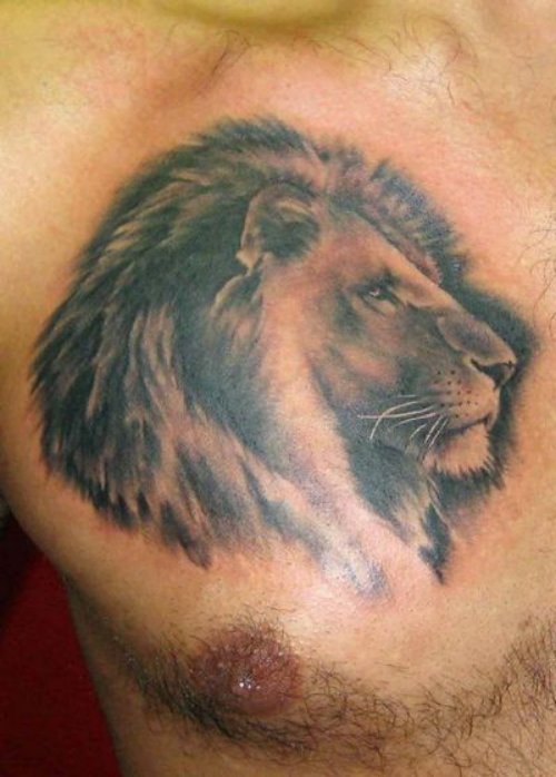 Wonderful Grey Ink Lion Tattoo On Man Chest