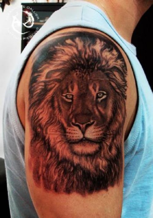 Man Right Shoulder Lion Tattoo