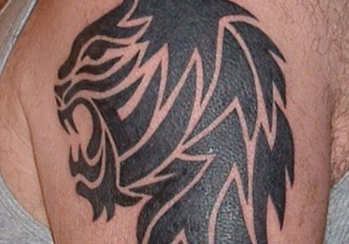 Black Ink Tribal Lion Tattoo On SHoulder