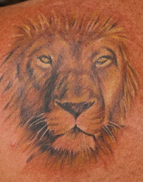 Lion Head Tattoo By Tattoostime