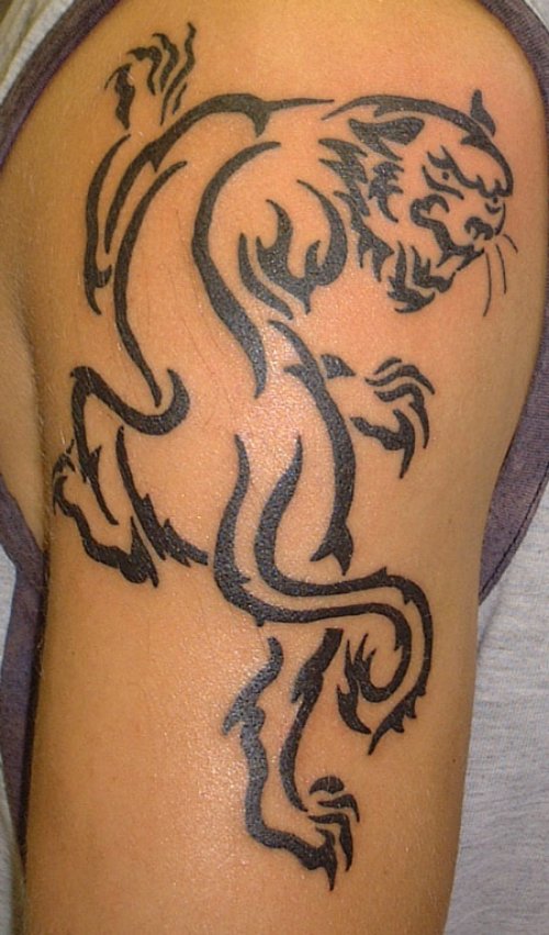Outline Lion Tattoo On Shoulder