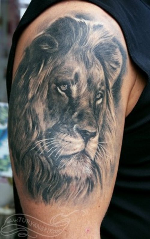 Nice Right Half Sleeve Lion Tattoo