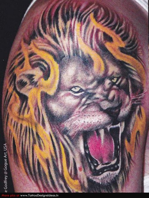 Colored Lion Head Tattoo On Right Shoulder