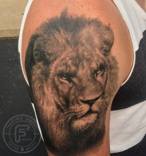 Right Shoulder Grey Ink Lion Tattoo