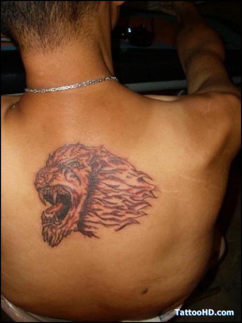 Grey Ink Lion Tattoo On Upperback