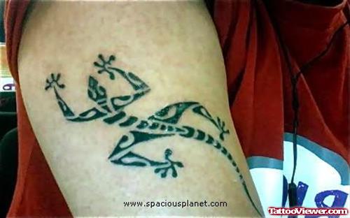 Latest Lizard Tattoo Design