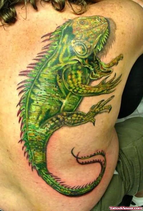 Green Big Lizard Tattoo On Rib