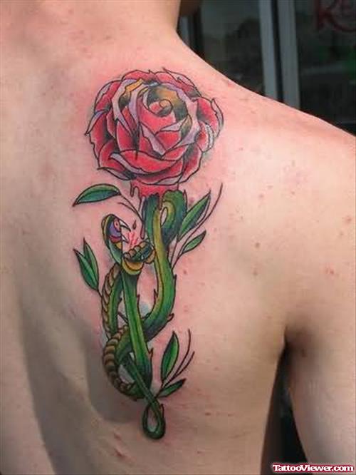 Rose And Lizard Tattoo On Back