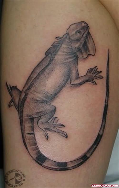 Iguana Lizard Tattoo