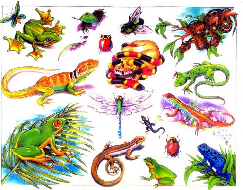 Colourful Lizard Tattoo Designs