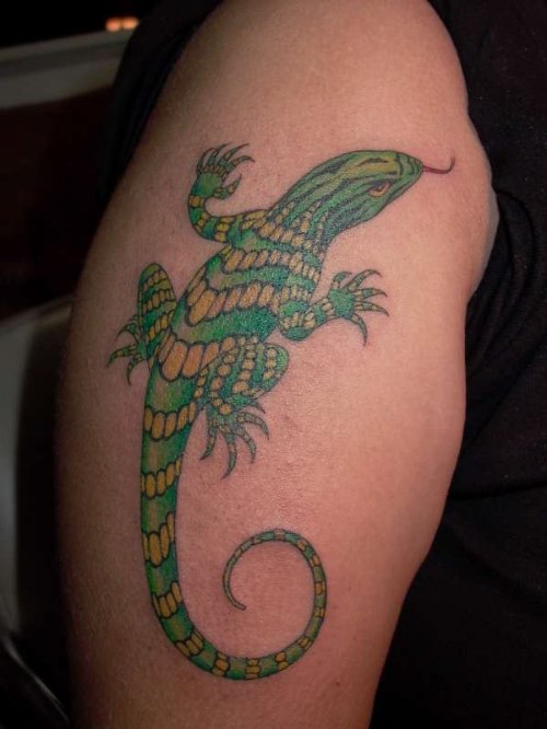 Beautiful Design Lizard Tattoo
