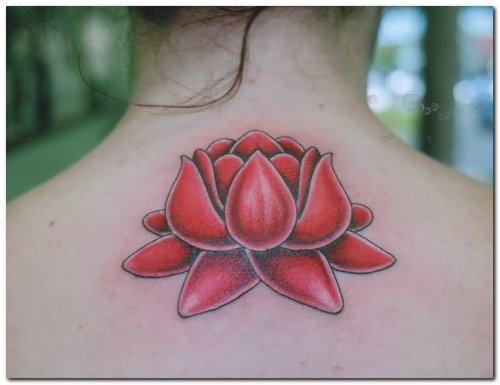 Lotus Tattoo Designs Pictures