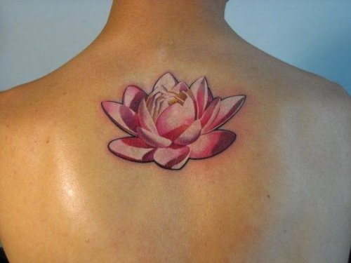 White And Pink Lotus Tattoo On Upper Back