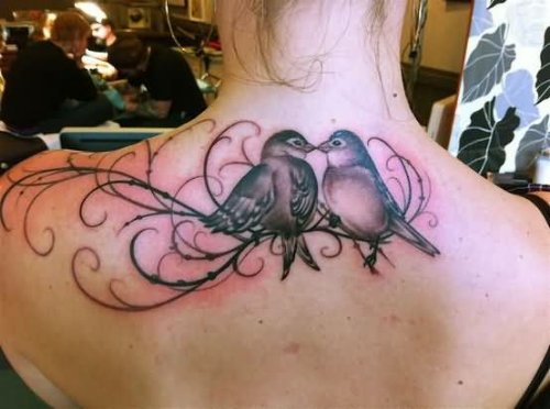 Love Bird Tattoo On Upperback