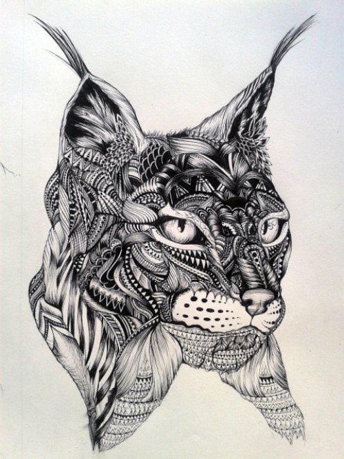 Traditional Black Ink Lynx Head Tattoo Design