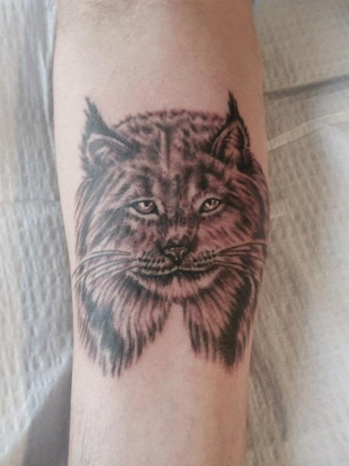 Lynx Head Tattoo For Young Girls