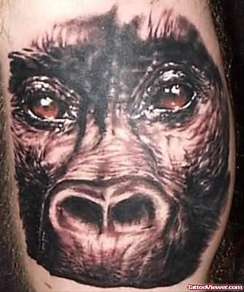 Wild Monkey Tattoo