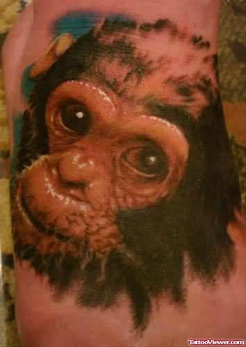 Realistic Monkey Tattoo.