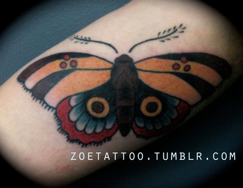 Stunning Colored Ink Moth Bicep Tattoo