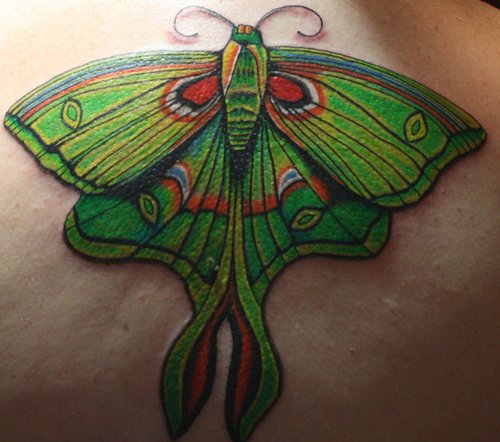 Red And Green Ink Moth Tattoo