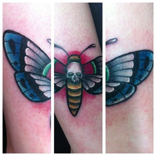 Color ink Moth Arm Tattoo