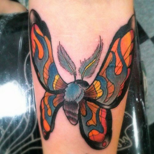 Beautiful Color Ink Arm Moth Tattoo