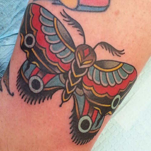 Beautiful Left Bicep Moth Color Ink Tattoo
