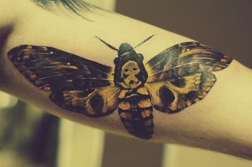 Color Ink Biceps Moth Tattoo