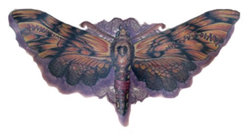 Bug Moth Tattoo Design