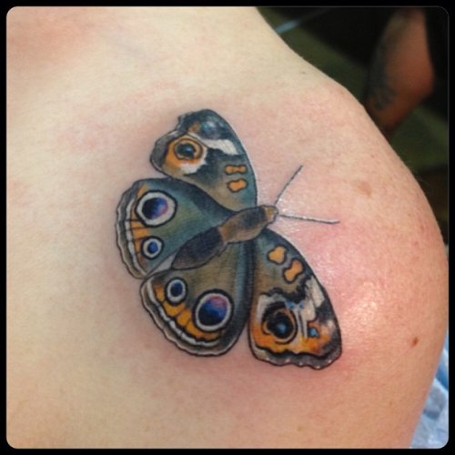 Awful Back Shoulder Moth Tattoo