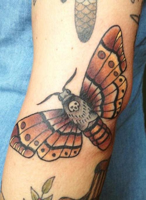 Biceps Color Ink Moth Tattoo