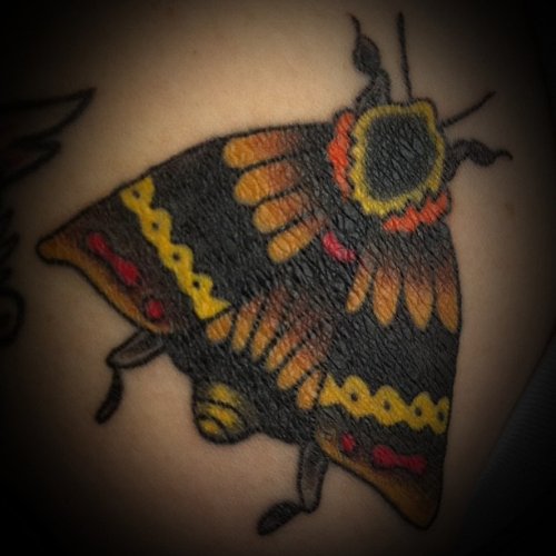 Color ink Moth Tattoo Picture
