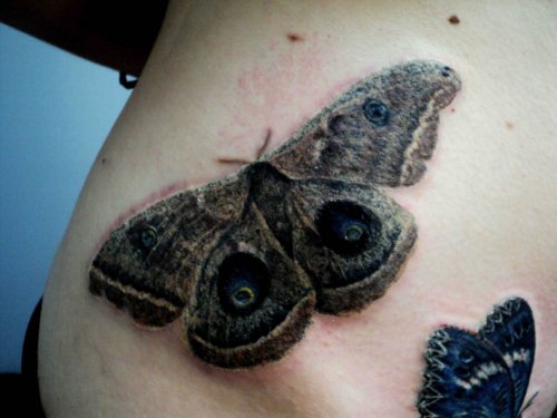 Grey Ink Moth Tattoo On Rin Side