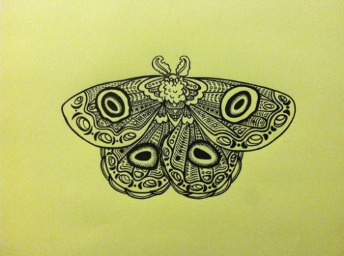 New Moth Tattoo Design