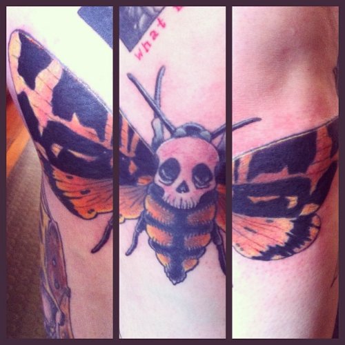 Skull Moth Colored Tattoo On Elbow