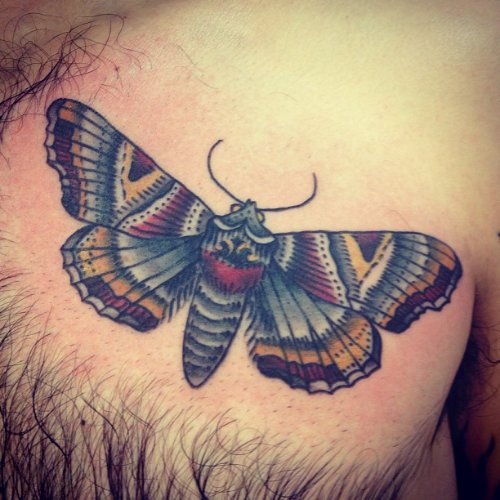 Colored Ink Moth Tattoo On Chest