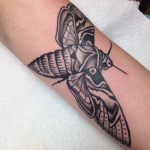 Quality Grey Ink Moth Tattoo On Arm