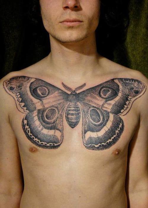 Grey Ink Moth Tattoo On Guy Chest