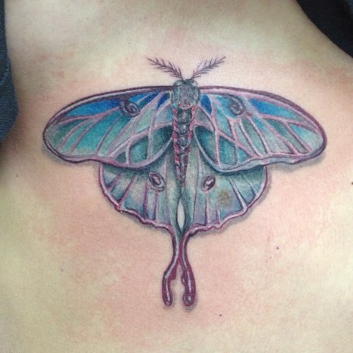 Unique Moth Blue Ink Tattoo