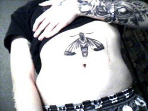 Stomach Moth Tattoo For Girls