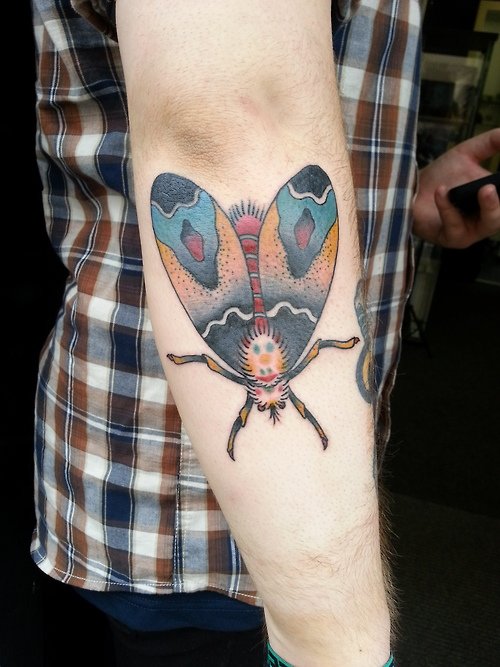 Right Arm Beautiful Colored Ink Moth Tattoo