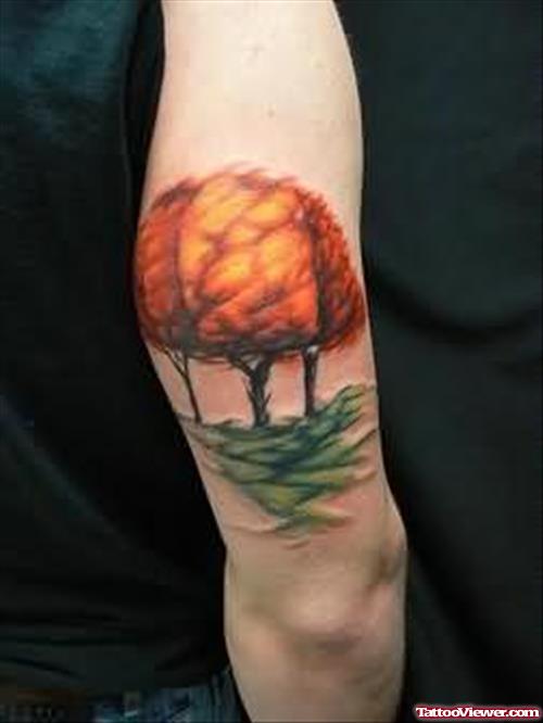 Fire Tree Tattoo On Muscle