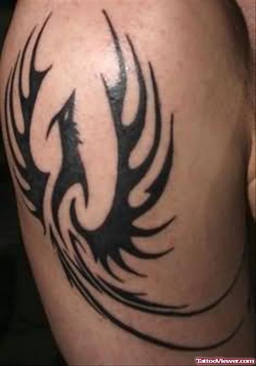 Phoenix Tattoo On Muscle