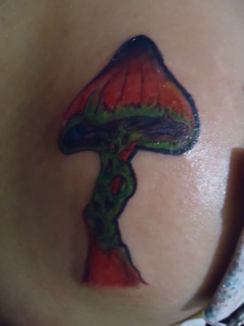 Colored Mushroom Tattoo On Back