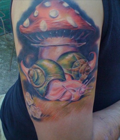 Snail and Mushroom Colored Tattoo On Half Sleeve