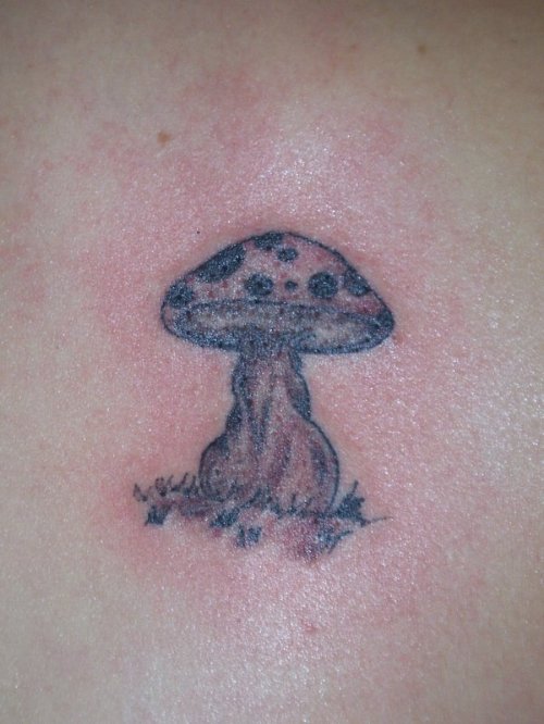 Little Fungi Mushroom Grey Ink Tattoo