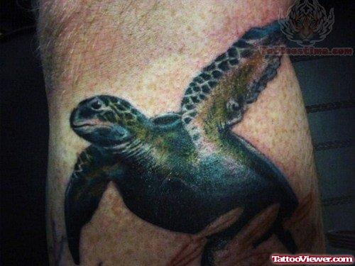 Nautical Turtle Tattoo